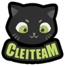 Cleiteam logo