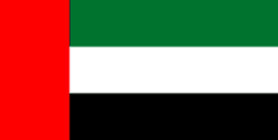 United Arab Emirates logo
