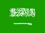 Saudi Arabia logo