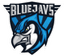 BLUEJAYS Lite logo