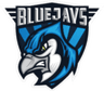 BLUEJAYS Lite logo