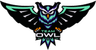 Team OWL logo