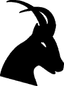 regain logo