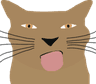 Chipi Chapa's logo