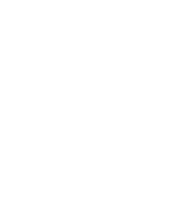 Timeless Obsidian logo