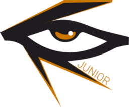 Illuminar Junior logo