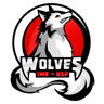 IME Wolves logo
