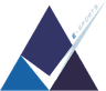 Permitta W logo