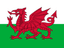 Wales logo