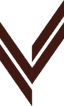 Vendetta logo