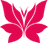 Lotus fe