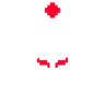Bushido