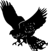 Alter Iron Club logo