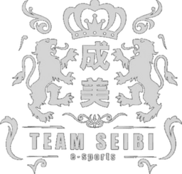 Team SEIBI logo