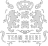Team SEIBI logo