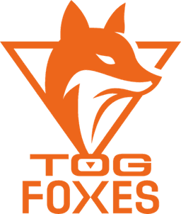 TeamOrangeGaming logo
