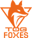 TeamOrangeGaming logo