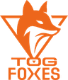 TeamOrangeGaming logo