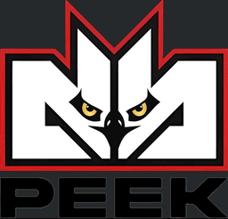 DB Peek Esports logo