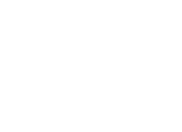 DNSTY logo