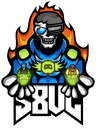 S8UL Esports