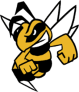 Paseka Team logo