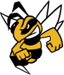 Paseka Team logo