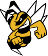Paseka Team logo