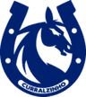 Curralzinho Sync logo