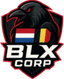BLX CORP logo