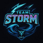 Team Storm logo