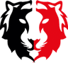 TBO logo
