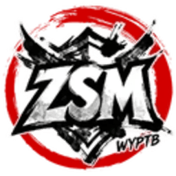 ZSM logo