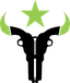 Houston Outlaws logo