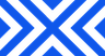 New York Excelsior logo