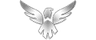 Wings Gaming logo