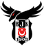Beşiktaş Esports logo
