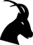 regain