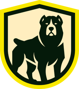 SoloTeam logo