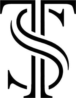 Team Stels logo