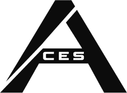 Team ACES logo