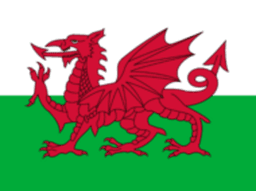 Team Wales logo