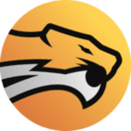Wild Esports logo