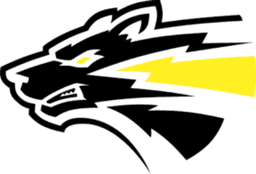 Storm Wolves logo