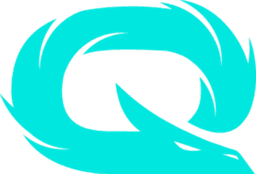 QLASH logo