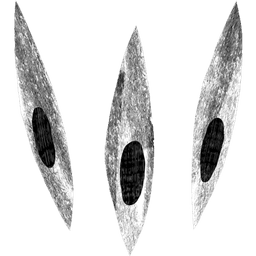 Ovoshi logo