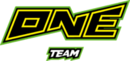 ONE Team logo