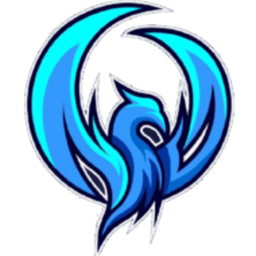 Night Wings Gaming logo