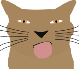 Chipi Chapa's logo