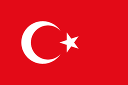 Team Türkiye logo